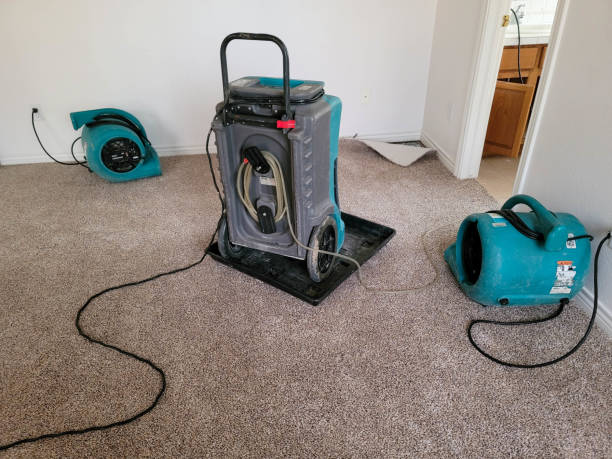 Best Water damage restoration near me  in Bronx, NY