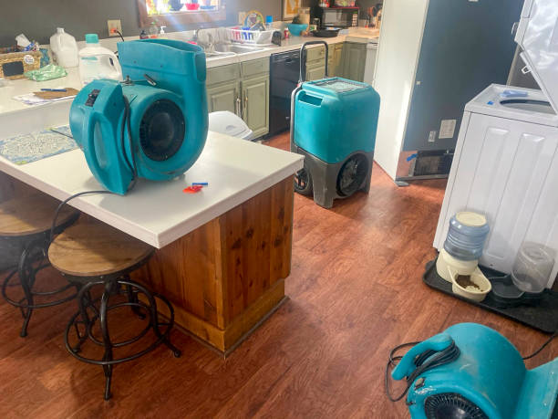Sewage cleanup and water damage restoration in Bronx, NY