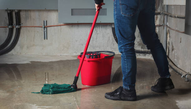 Best Local water damage restoration  in Bronx, NY