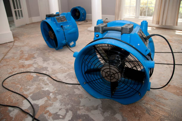Best Water damage restoration near me  in Bronx, NY