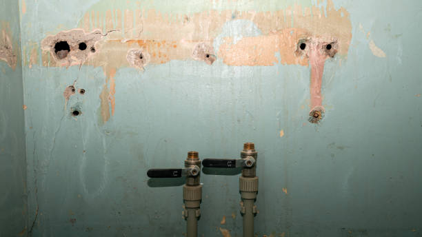 Best Water damage cleanup near me  in Bronx, NY