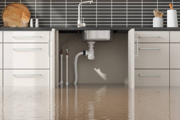 Best Water damage contractors near me  in Bronx, NY