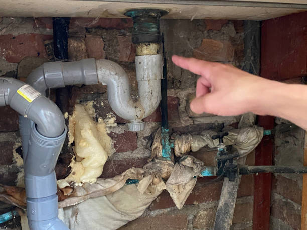 Best Sewage cleanup and water damage restoration  in Bronx, NY